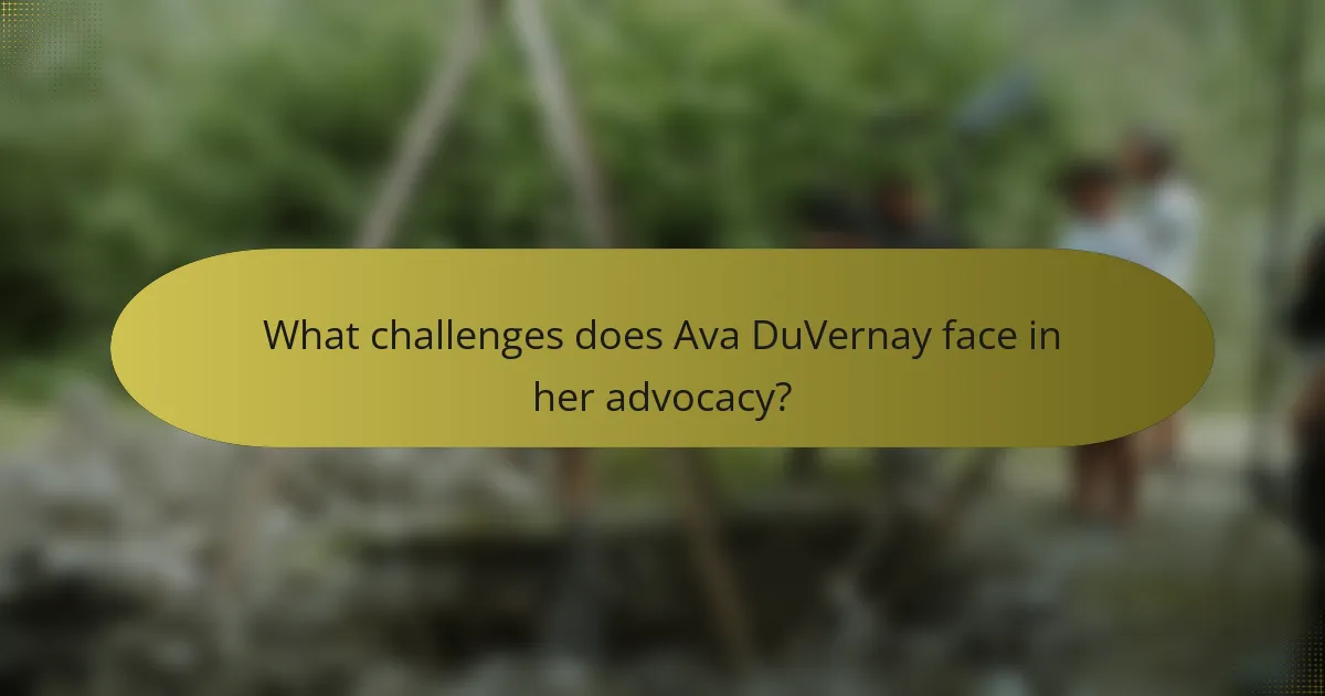 What challenges does Ava DuVernay face in her advocacy?