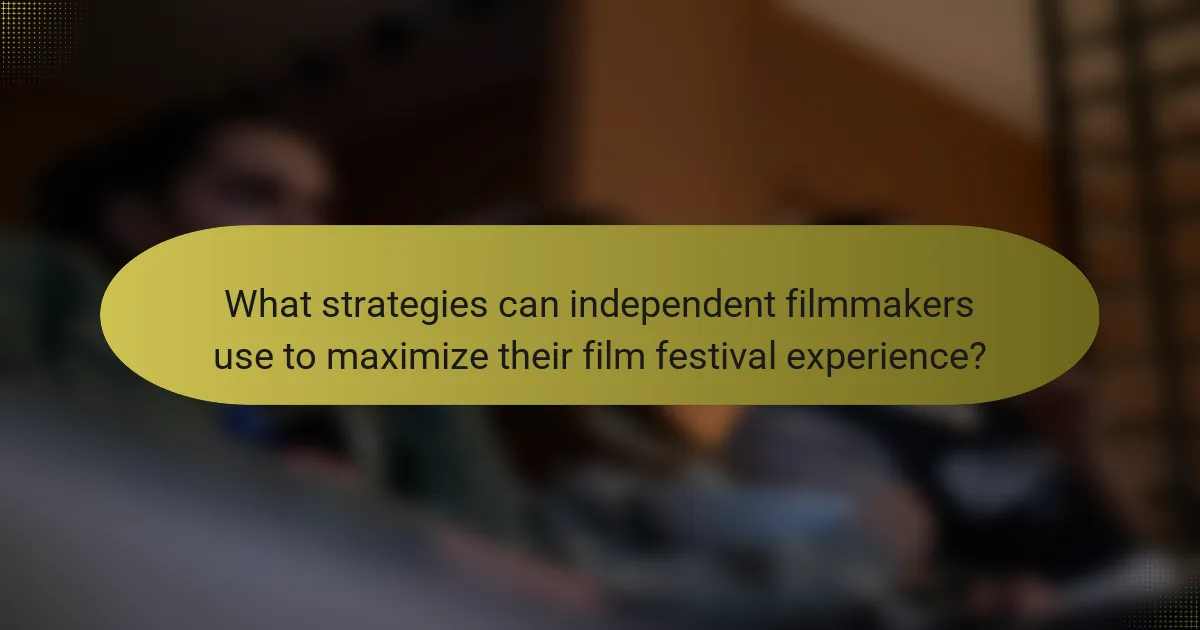 What strategies can independent filmmakers use to maximize their film festival experience?